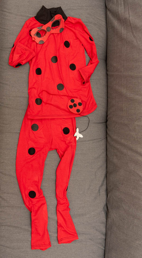 LLadybug2